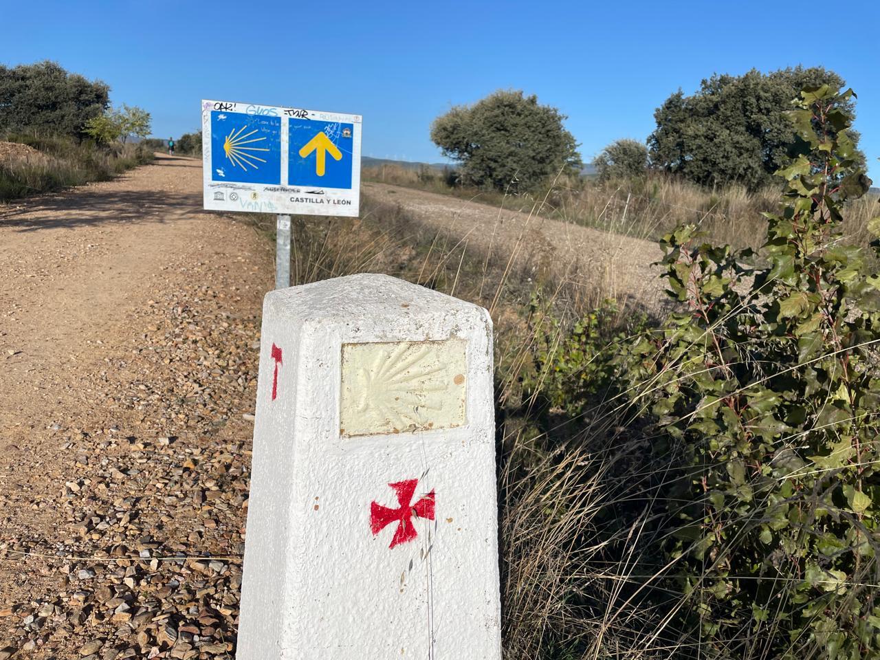 Caminho Francês